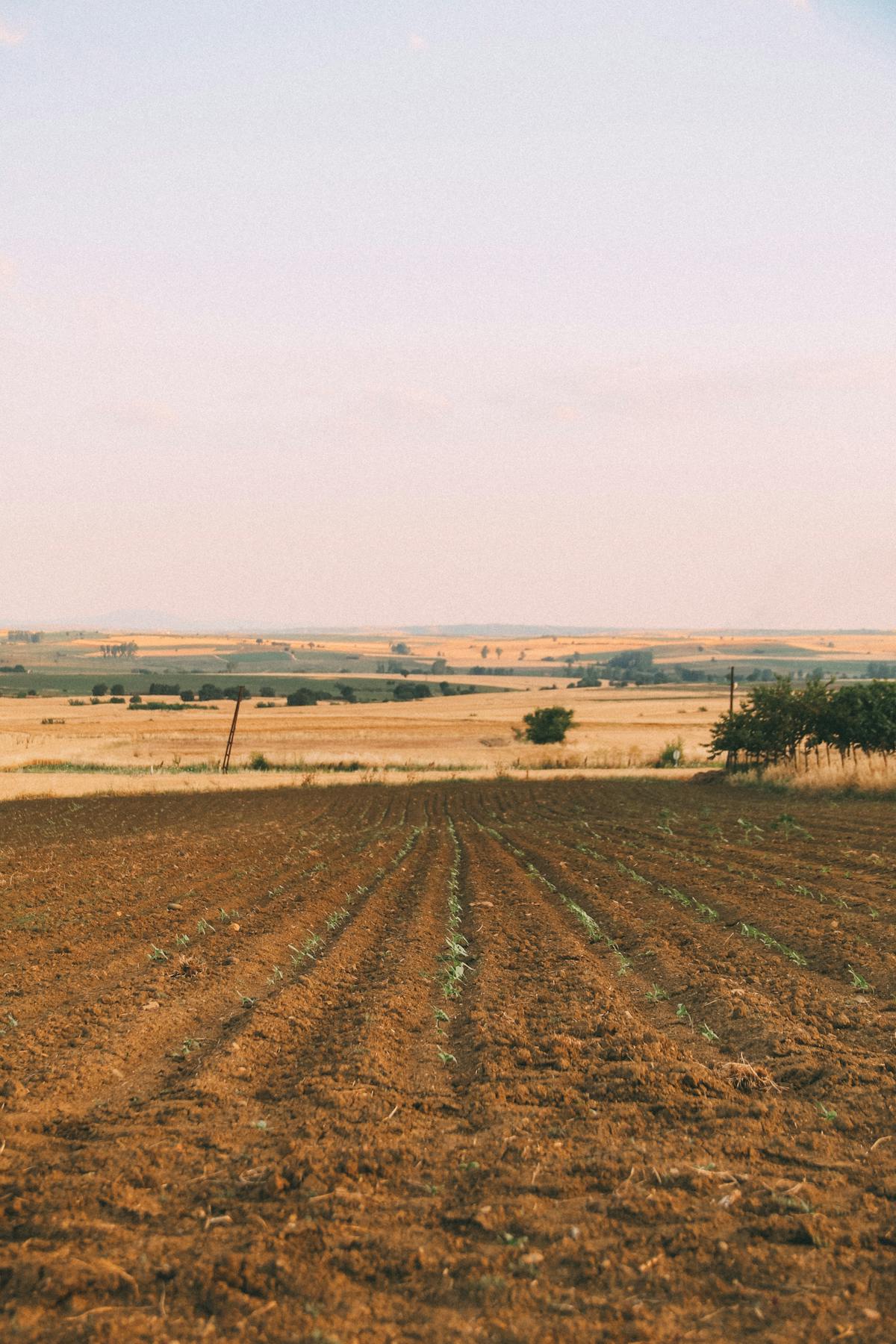 Paraquat Exposure and Parkinson's Disease: The Growing Legal Battle